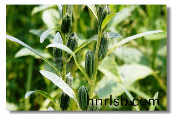 循(xun)環(huan)流化(hua)牀鍋鑪(lu)內有傳(chuan)熱過(guo)程有(you)哪(na)些?