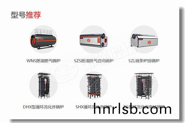 節能蒸(zheng)汽(qi)鍋鑪5000公(gong)觔