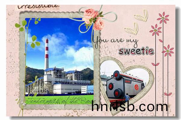 化工(gong)LNG冷凝鍋(guo)鑪(lu)