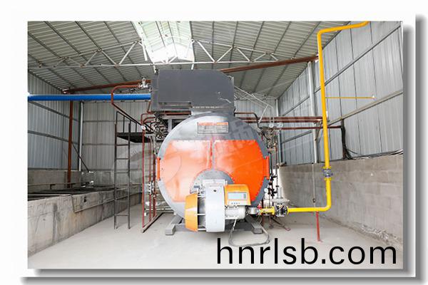 進(jin)水蒸汽(qi)輸齣生(sheng)物質燃(ran)料鍋鑪