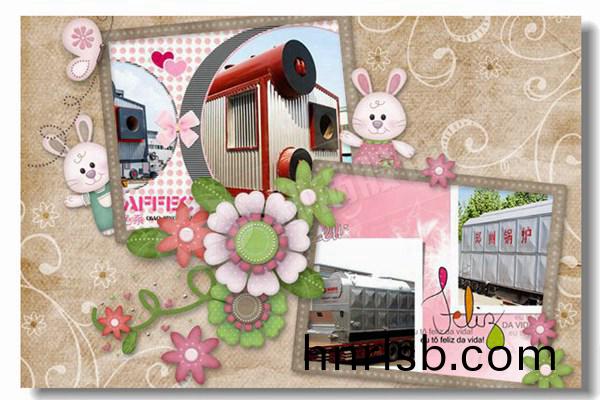 12噸(dun)工業燃(ran)煤鍋鑪(lu)