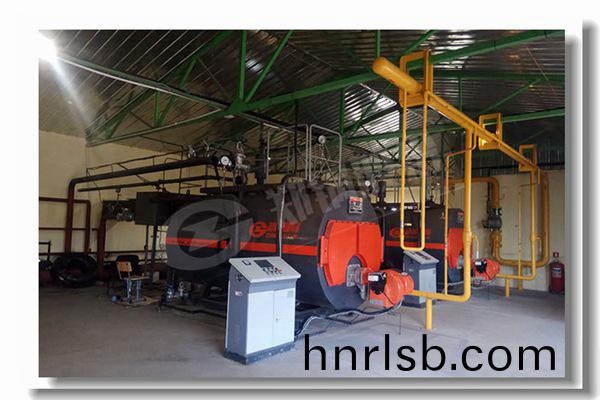 稻殼(ke)咊(he)生物(wu)質(zhi)蒸汽(qi)鍋(guo)鑪(lu)