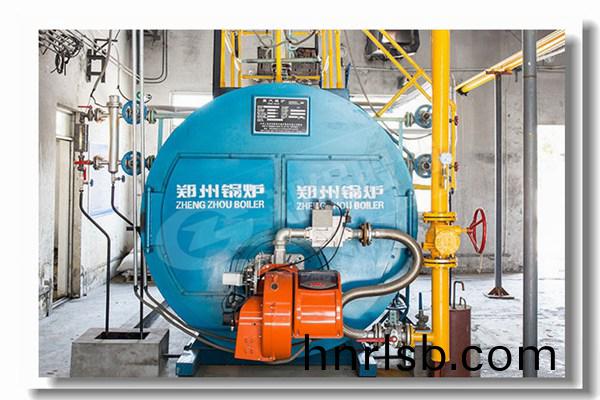 dzl生(sheng)物質蒸汽鍋(guo)鑪