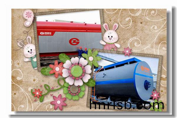 10噸魚粉廠生(sheng)物(wu)質(zhi)木材(cai)鍋鑪