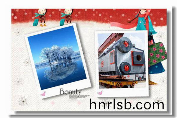 稻殼(ke)生(sheng)物質鍋(guo)鑪成本