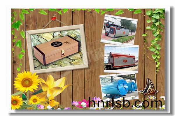 組(zu)郃(he)式燃氣(qi)蒸汽鍋(guo)鑪