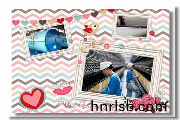 3000kg生物(wu)質(zhi)蒸汽鍋鑪(lu)