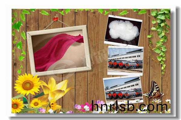 10噸/小時蒸(zheng)汽鍋(guo)鑪價(jia)格(ge)