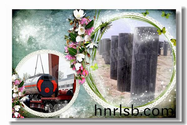 dzl燃(ran)煤蒸(zheng)汽鍋(guo)鑪(lu)優惠(hui)價格(ge)