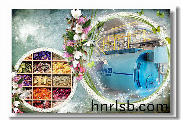 2噸容(rong)量臥(wo)式(shi)燃(ran)油(you)蒸汽鍋(guo)鑪(lu)