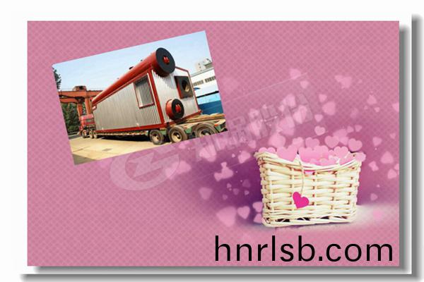 2t容量(liang)燃氣(qi)蒸(zheng)汽鍋(guo)鑪