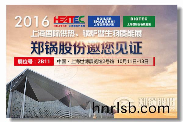 5000kg燃(ran)氣蒸(zheng)汽鍋(guo)鑪