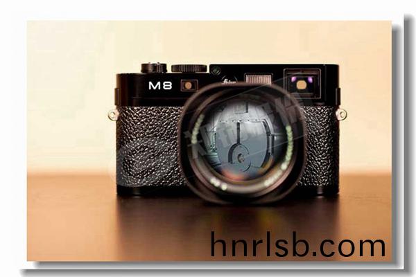 飼(si)料工(gong)業用(yong)石(shi)油或天然(ran)氣鍋(guo)鑪