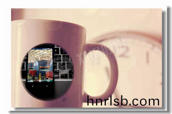 14噸容(rong)量的燃油(you)蒸(zheng)汽鍋鑪