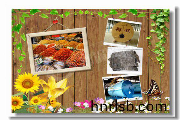 服(fu)裝廠3噸(dun)燃煤鍋鑪