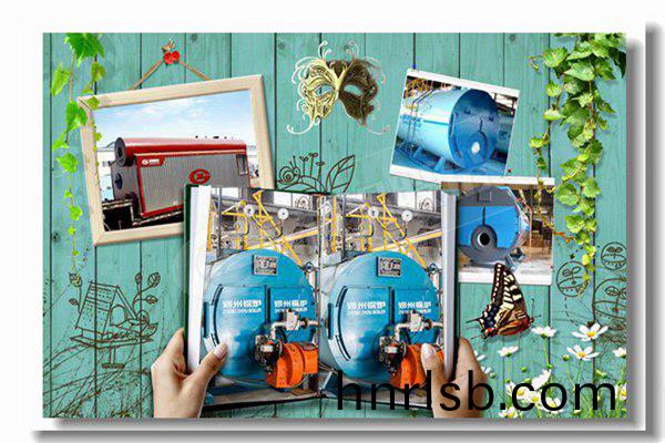 雙燃(ran)料蒸(zheng)汽鍋(guo)鑪,壓力16kg