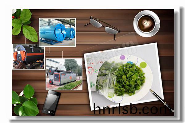 11噸(dun)天然氣(qi)蒸(zheng)汽鍋(guo)鑪價格