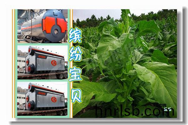 燃(ran)氣(qi)熱水鍋鑪(lu)額(e)定(ding)功(gong)率MW什(shen)麼(me)意(yi)思