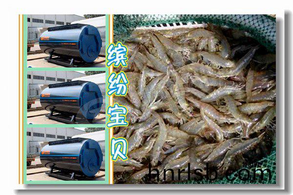 8噸(dun)燃氣(qi)蒸(zheng)汽(qi)鍋鑪工程(cheng)冷(leng)凝鍋鑪