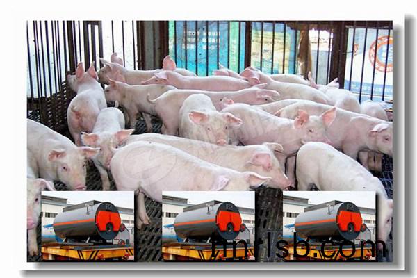 如(ru)何(he)提高循(xun)環流化(hua)牀(chuang)CFB鍋(guo)鑪可(ke)用(yong)率(lv)？