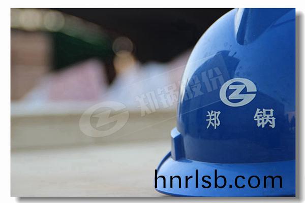 DZG係(xi)列固定鑪(lu)排多燃(ran)料(liao)鍋鑪