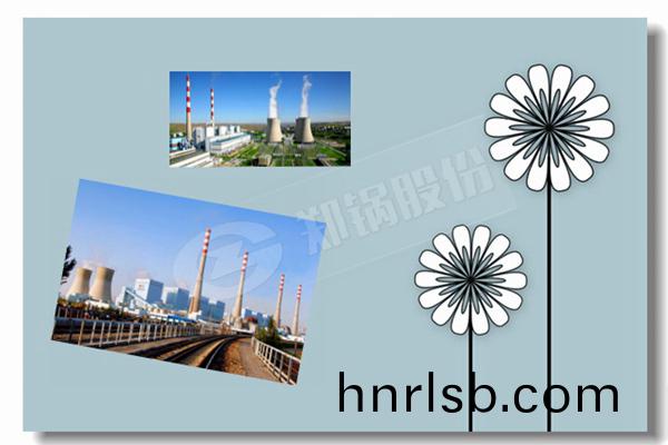 2t sss冷(leng)凝燃(ran)氣(qi)鍋鑪(lu)項(xiang)目